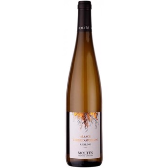Riesling Terre d`Apollon, Moltes